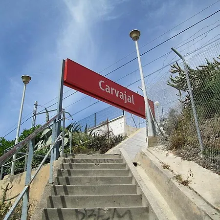 In 1st Line Fuengirola